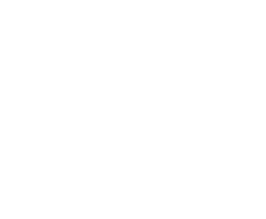 Demo Design